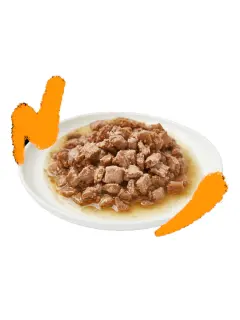 EDGARD AND COOPER LATA DE POLLO ADULTO (GATO)