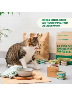 WILD BALANCE LATA DE RAGUT TRADICIONAL DE TERNERA Y POLLO GATOS (80g)