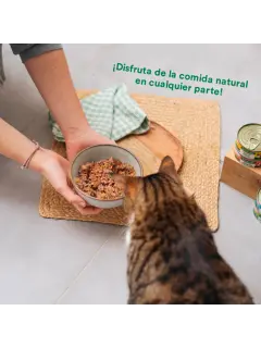 WILB BALANCE LATA ESTOFADO DE PAVO CON TERNERA (80g)