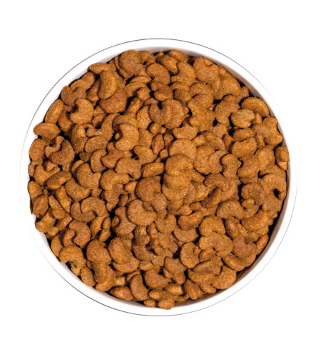 OWNAT CLASSIC HAIRBALL GATO