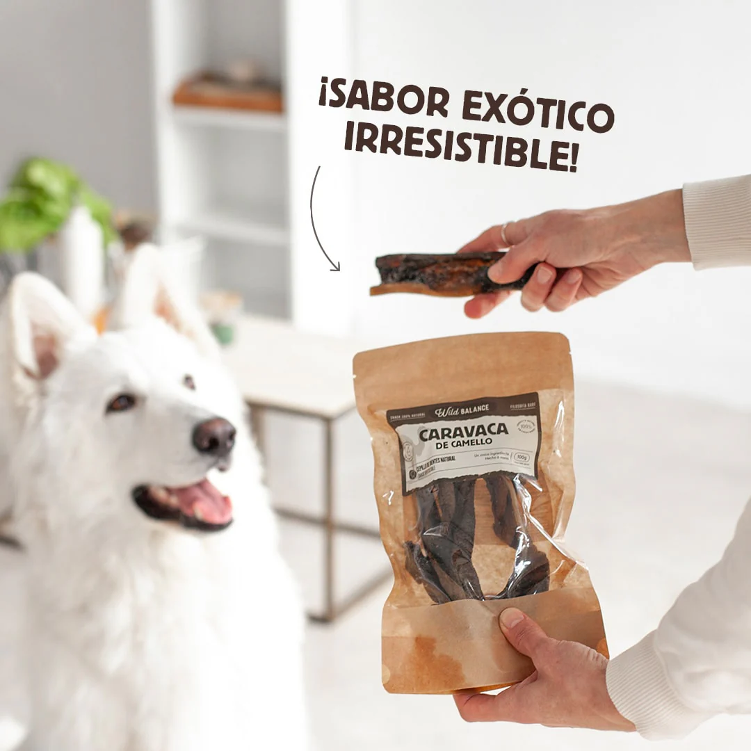 WILD BALANCE CARAVACA DE CAMELLO (100g)