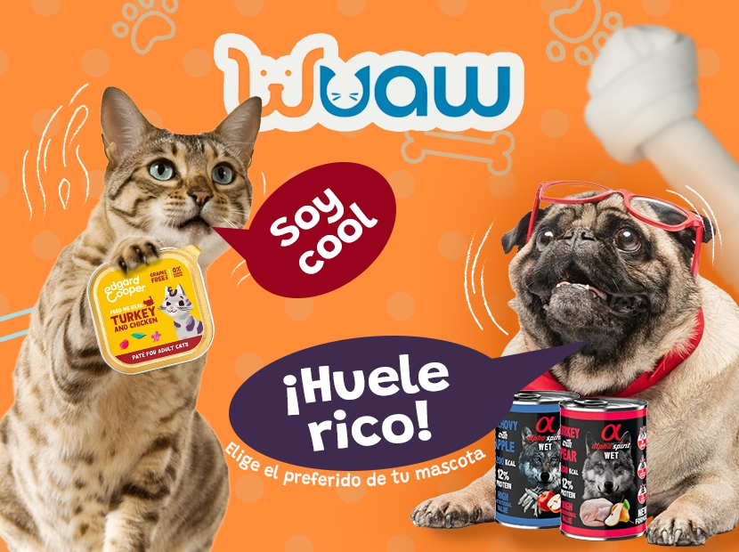 Imagen Móvil